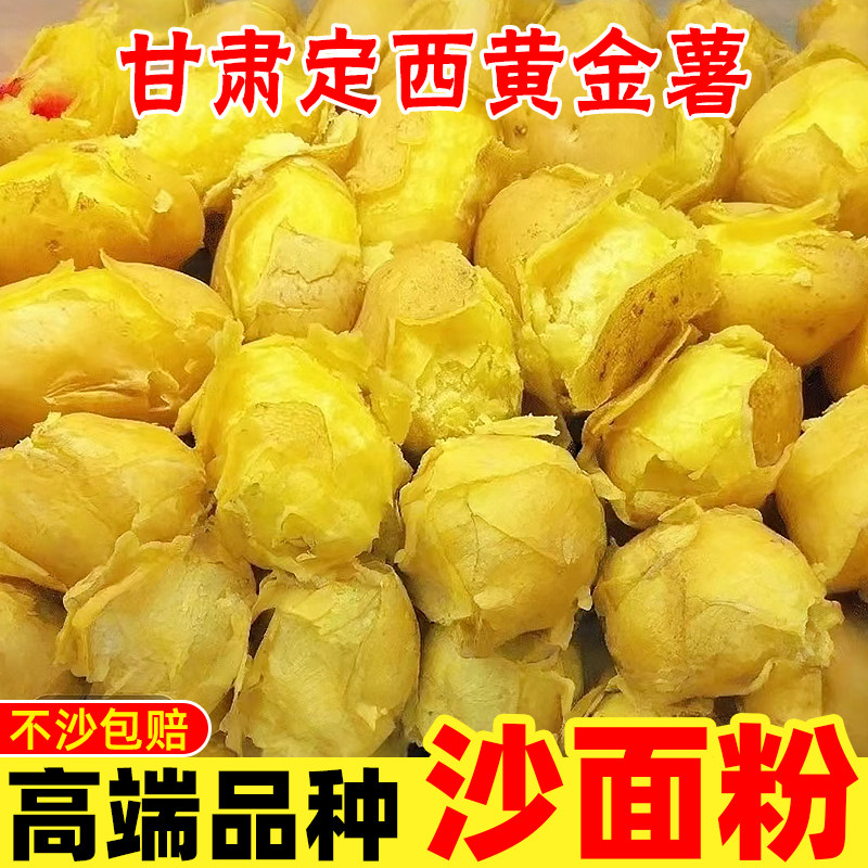 2026甘肃定西黄金薯当季黄皮洋芋农家马铃薯粉糯新鲜黄心沙面土豆