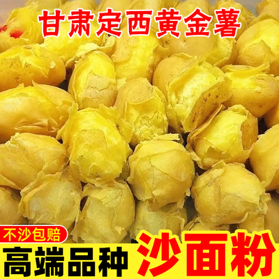 2026新鲜甘肃定西黄金薯