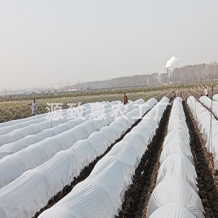 50根菜棚保温棚花棚农用小拱棚支架拱竿骨架玻璃钢纤维杆弹力棒