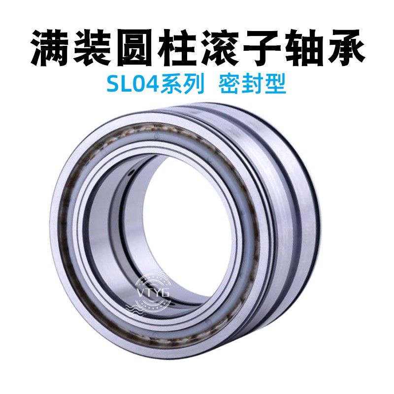 满装圆柱滚子轴承SL18 SL04/NNCF 5004 5005 5006 5007 5008 5009