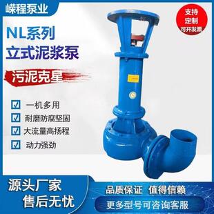立式泥浆泵鱼塘清淤泥沙泵耐磨抽三相液下渣浆泵清淤泵水泵抽水泵