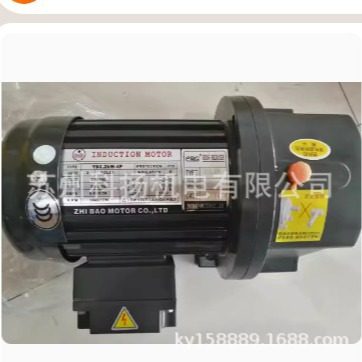 ZHI BAO电机 YS0.2KW-4P ZF22 130:1 减速马达 ZL22 1:90 40:1