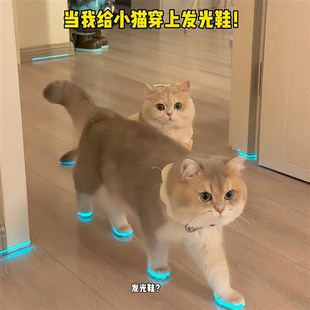 猫咪发光鞋宠物狗狗鞋子哨子夜光儿童玩具夜间拍照小配件撸猫装扮
