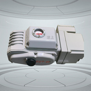 伯纳德 SCL-400 ZH-400 DCL-400 津上 智能调节型阀门装置