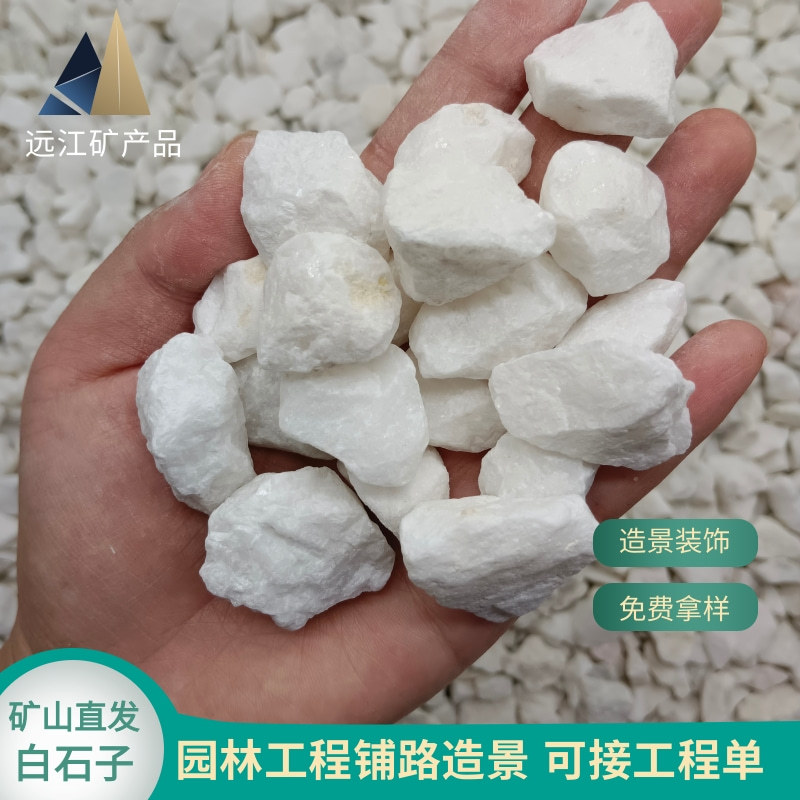 白石子鹅卵石园林工程庭院花园装饰小白石卵石白砾园林景观白石子