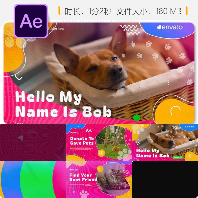 宠物领养公益宣传AE模板可爱猫狗救助主题视频背景动画设计