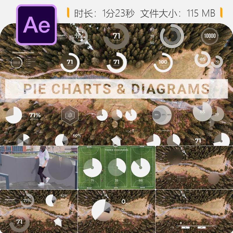 AE模板动态信息图表商业数据可视化柱状图饼图动画元素设计制作
