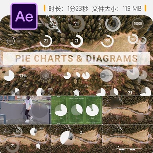 AE模板动态信息图表商业数据可视化柱状图饼图动画元素设计制作