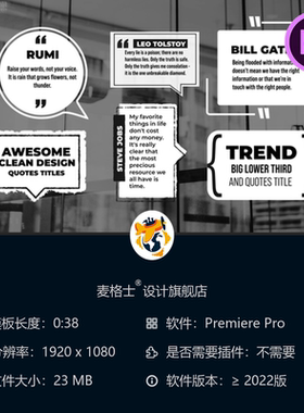 动态扁平企业引述动画PR模板 2D快排版设计 现代简洁风格字幕