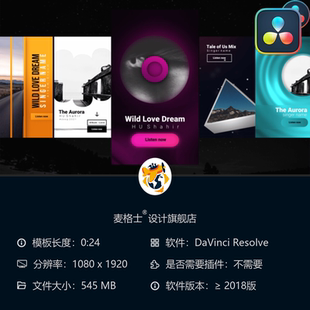Instagram潮流音乐竖版 达芬奇短视频相册MG动画 模板