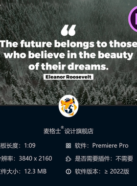 简约动态线条PR模板 抽象企业风全屏动画设计 黑色粗体博客风格