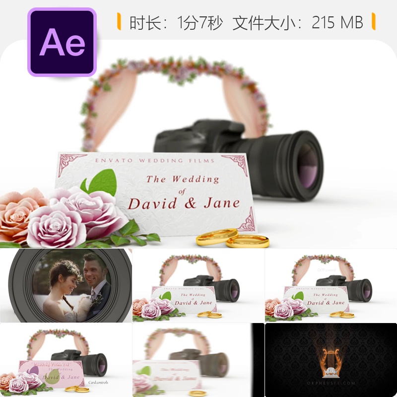 婚礼开场AE模板浪漫花瓣金色戒指电影感爱情片头白色优雅风格
