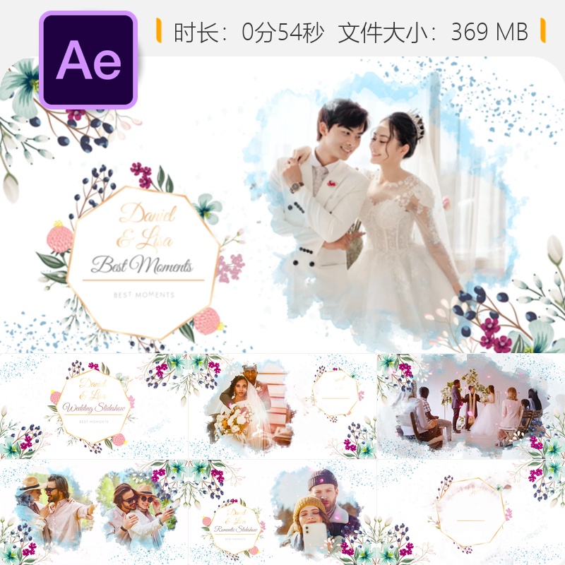 浪漫婚礼相册AE模板玫瑰花瓣动画红色复古风格樱花绽放爱情回忆