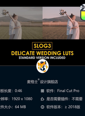 Slog3婚礼电影感高级调色预设合集 支持FCPX达芬奇专业LUT调色