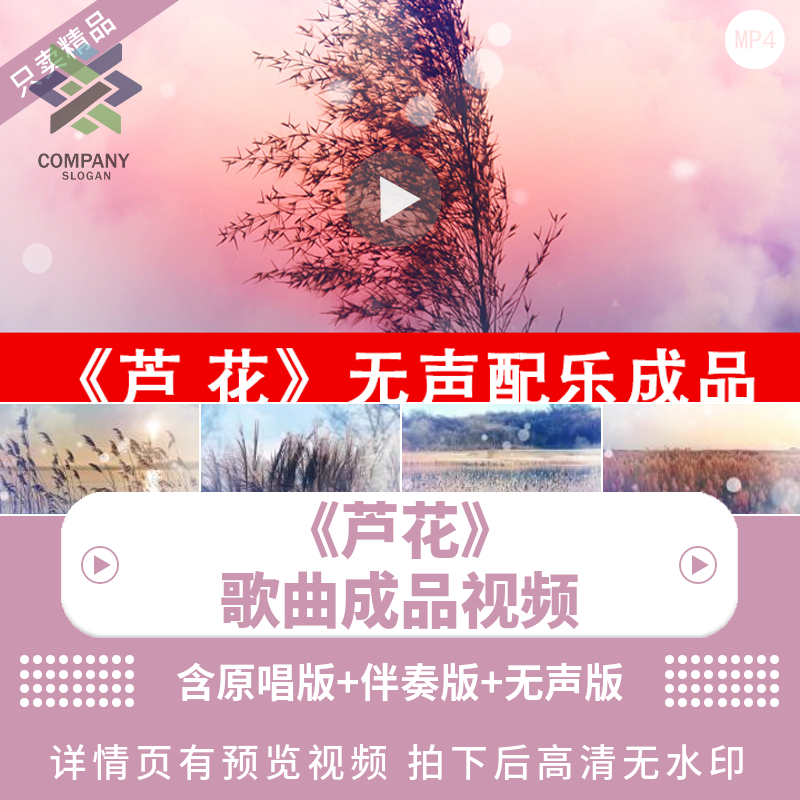 芦花.背景视频led素材