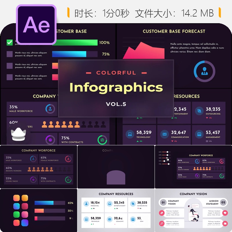 多彩信息图表AE模板动态数据可视化企业演示动画设计元素图表