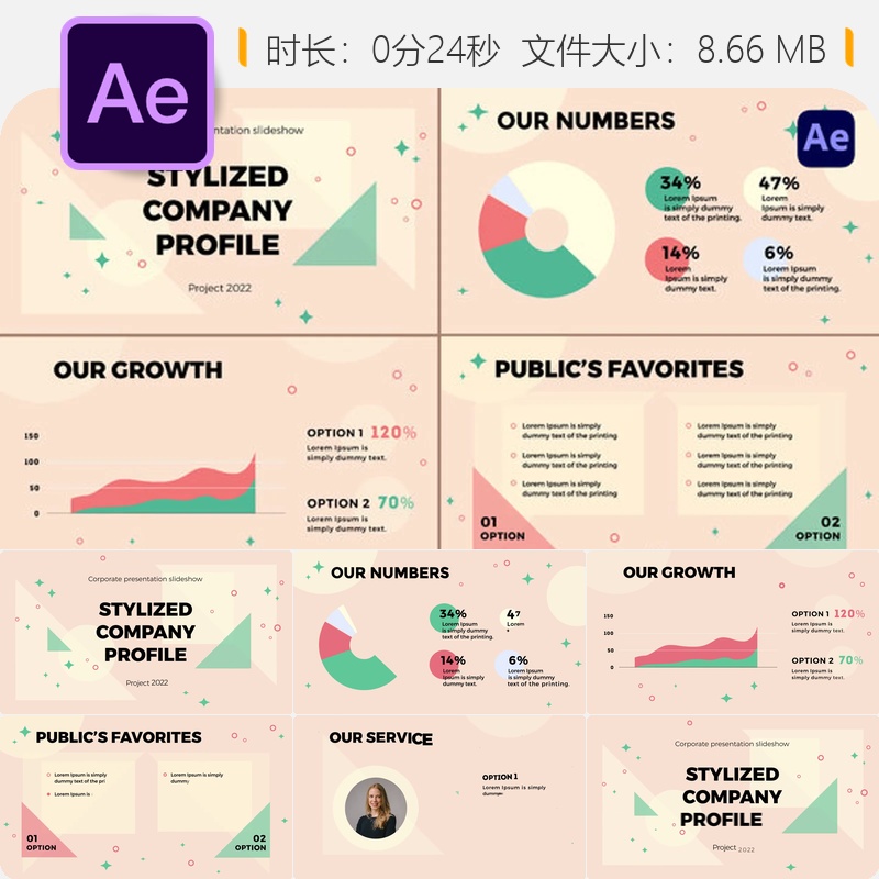 企业年度商务信息图表AE模板风格化公司幻灯片动画设计展示片