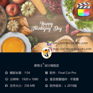 感恩节秋叶FCPX竖版 视频模板木质边框MG动画家庭聚会温馨相册