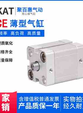 气缸ACE80X5S 10S 15S 20S 25S 30S 35S 40S 45S 50S 55S 60S-SB