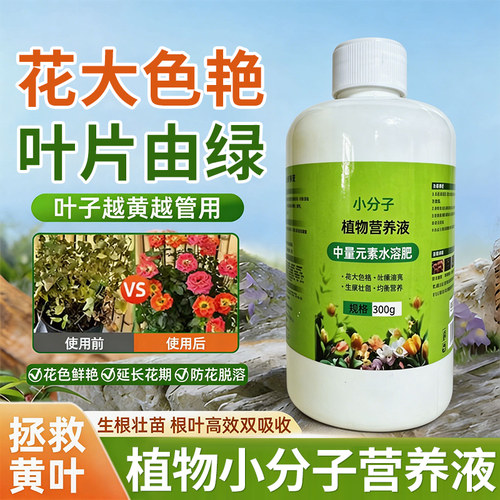 易吸收小分子盆栽果蔬通用肥