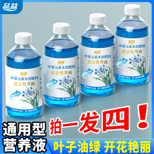 植物营养液通用型家用养花卉绿萝水培绿植发财树S 拍一发四