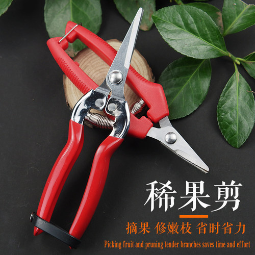 摘果剪稀果剪果剪刀采果水果葡萄的剪子修果剪专用修枝剪园林家用