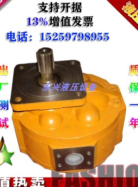泉城长江CBG2100 CMG2063 CBGJ3125JHP3140/3160/3180/3200齿轮泵