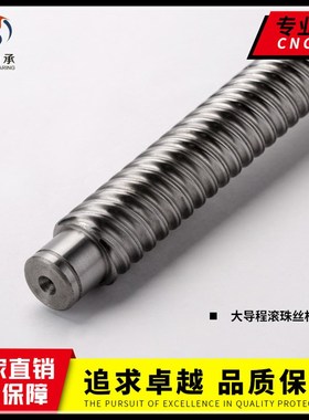 高精度大导程滚珠丝杆SFE1616螺母2020252J53232 4040定制高速丝