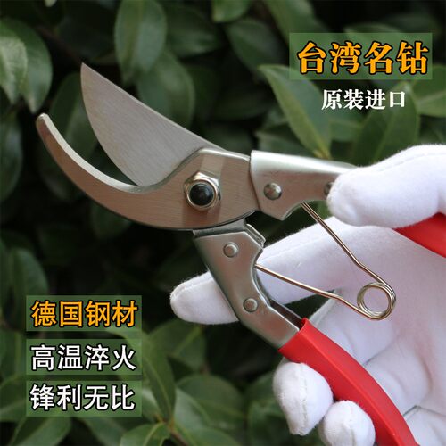 台湾进口剪枝园林修枝剪刀园艺果树粗树枝花木剪采果五金用品工具