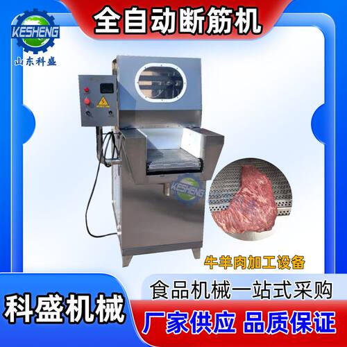牛肉断筋机 肉类断筋机器 全自动嫩化机 牛羊肉松肉筋设备