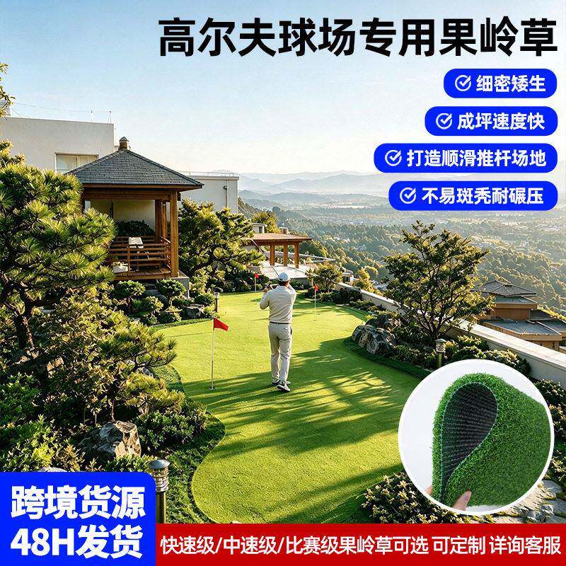 尔夫球场果岭草坪训练比赛专用果岭草皮端尔夫球推杆草坪