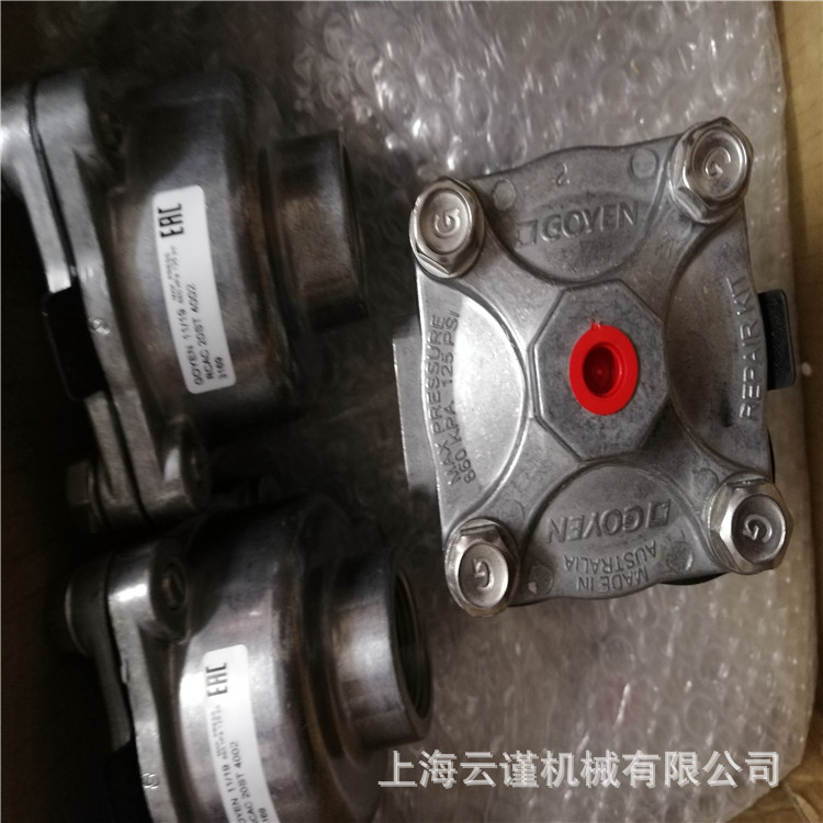 GOYEN气控阀RCAC25FH3X/3249电磁脉冲阀高原法兰先导阀线圈膜片