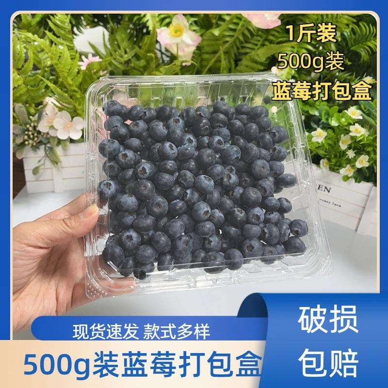 500克蓝莓盒子树莓打包盒加厚透明塑料1斤装透气一次性蓝莓包装盒
