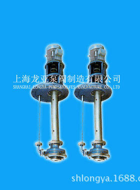 上海50FYB-20化学反应液下泵 Y255S-4FeSO4液下泵