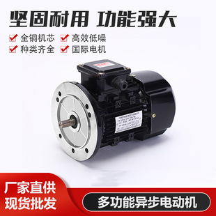 YS7124   370W大法兰立式电机  污水泵电机