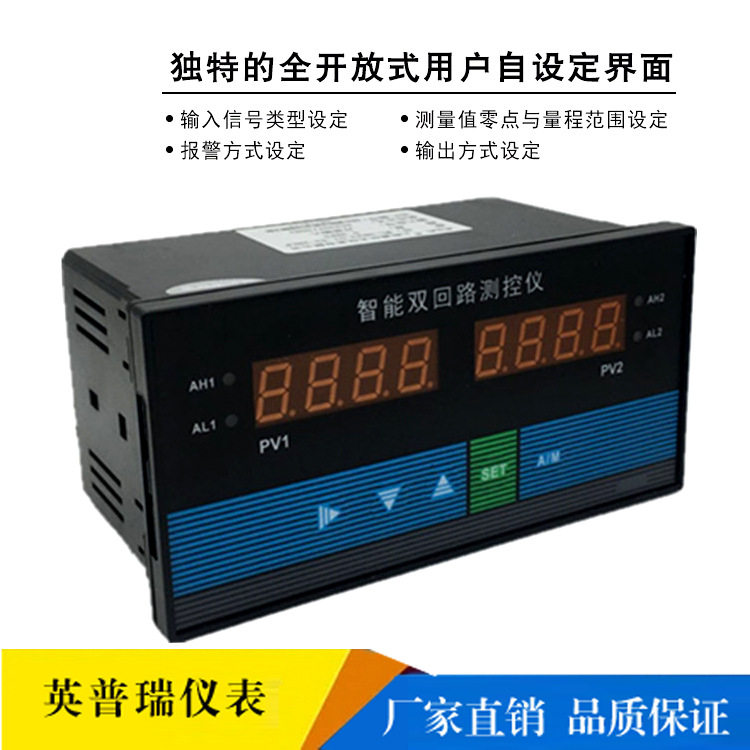 直销D823智能双回路测控仪厂家温度压力液位双通道数字显示控制仪