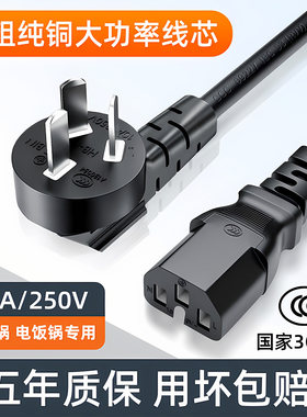 当天发电饭锅蒸炒锅压力锅电源线