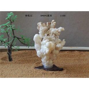 【戈壁石花】钟乳石内蒙古阿拉善奇石戈壁原石观赏石摆件