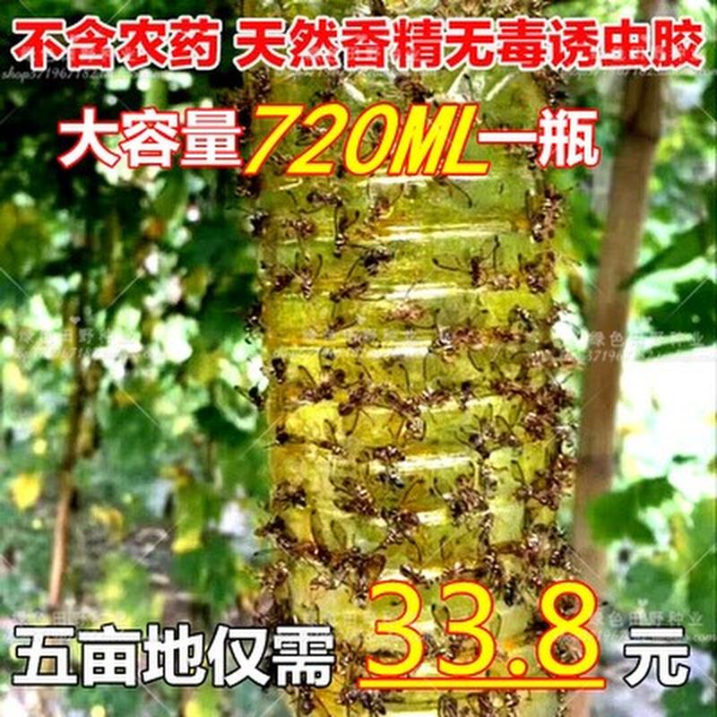 瓜果实蝇针蜂诱粘剂昆虫诱捕剂杀果蝇药粘胶诱黏引诱剂果蝇诱捕器