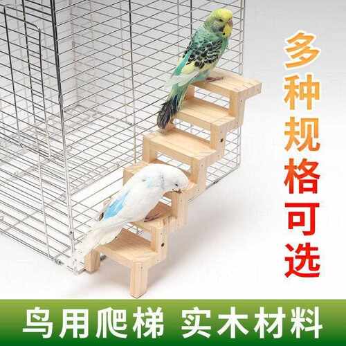 鹦鹉爬行梯笼内攀爬楼梯爬架