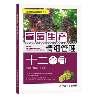 葡萄生产精细管理十二个月 葡萄种植书籍栽培技术大全书果树修剪整形水果病虫草害诊断与防治农业指导植株的培育园艺种葡萄技术书