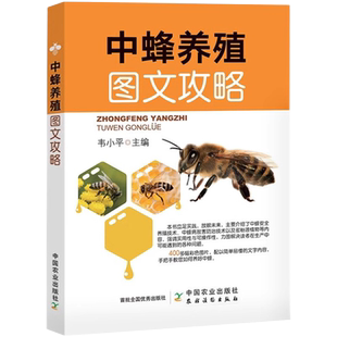 中蜂养殖图文攻略 养蜂技术书蜜蜂养殖技术中蜂胡蜂养殖技术养蜜蜂书中华蜜蜂活体蜂群蜂王高效实用科学饲养病害防治指导书籍