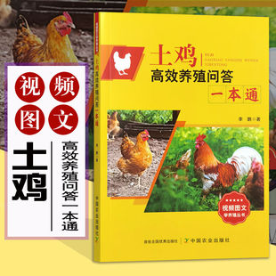 土鸡高效养殖问答一本通 土鸡饲养殖管理技术 土鸡疾病防治技术 种鸡繁育 种蛋孵化 土鸡营养与饲料配制 养鸡技术大全 鸡病防治书