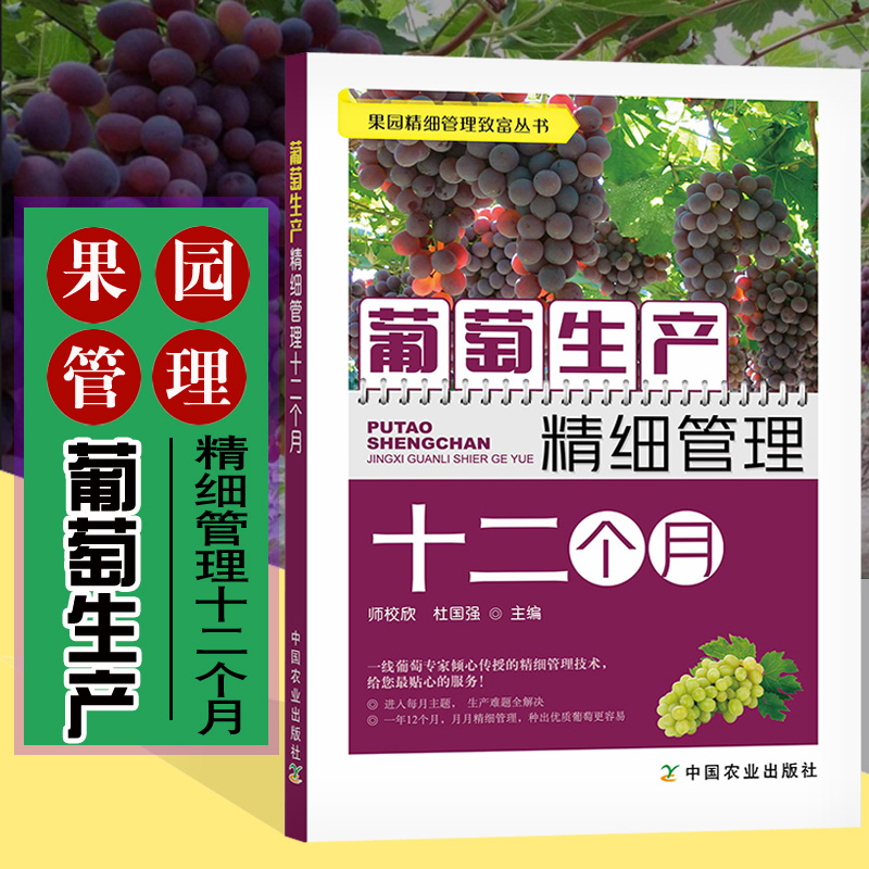 葡萄生产精细管理十二个月 葡萄种植书籍栽培技术大全书果树修剪整形水果病虫草害诊断与防治农业指导植株的培育园艺种葡萄技术书