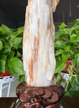 缅甸树化玉奇石天然桌面观赏石木化玉风水家居装饰小摆件镇宅原石