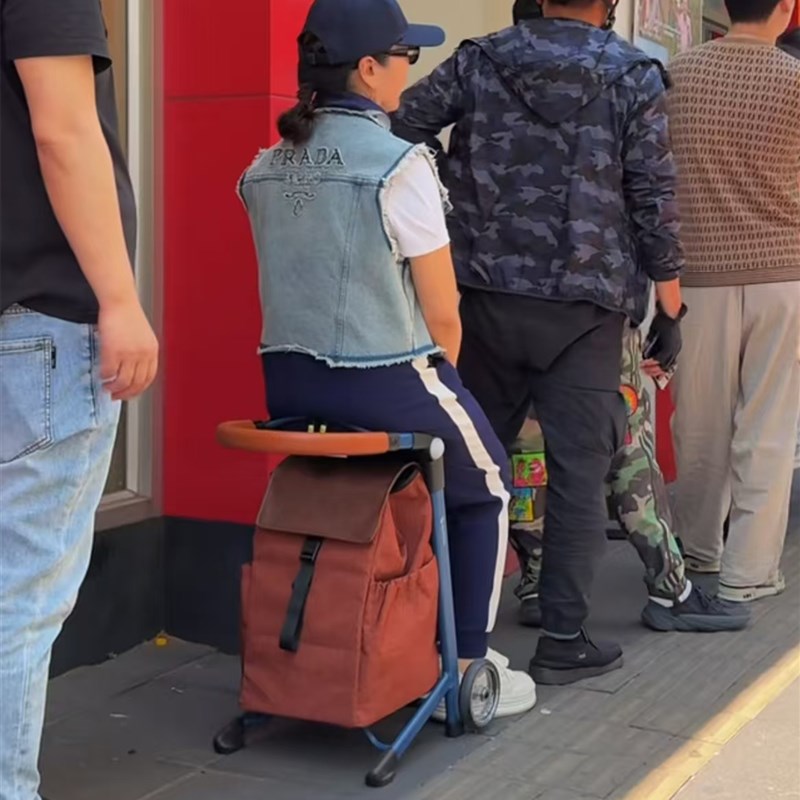 步丁老人购物买菜小拉车手拖布丁带座椅可坐折叠轻便携家用铝合金