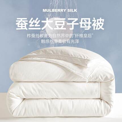蚕丝大豆纤维子母被二合一拉链款被子春秋被芯夏凉被四季通用冬被