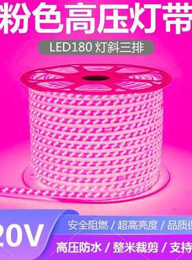 led灯带紫光粉色紫色家用220v装饰浪漫创意KTV超亮户外防水灯带条
