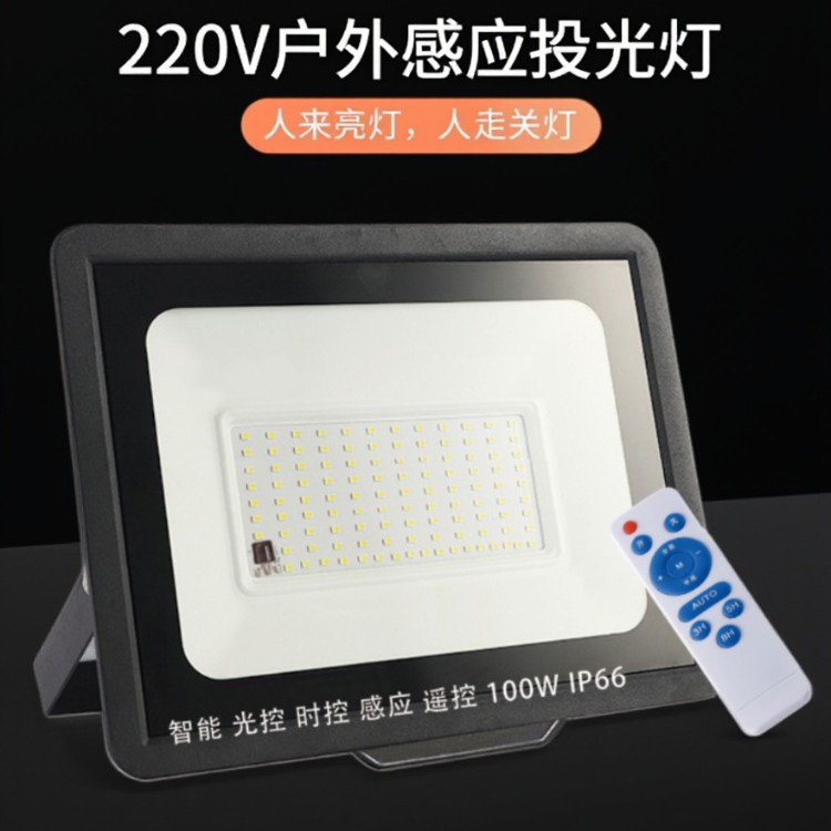 光控投光灯路灯人体感应led智能灯户外壁灯防水220V天黑自动亮灯