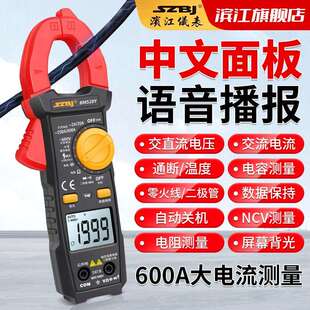 滨江BM528Y高精度钳形表语音播报钳流表电工智能防烧万用表电流表